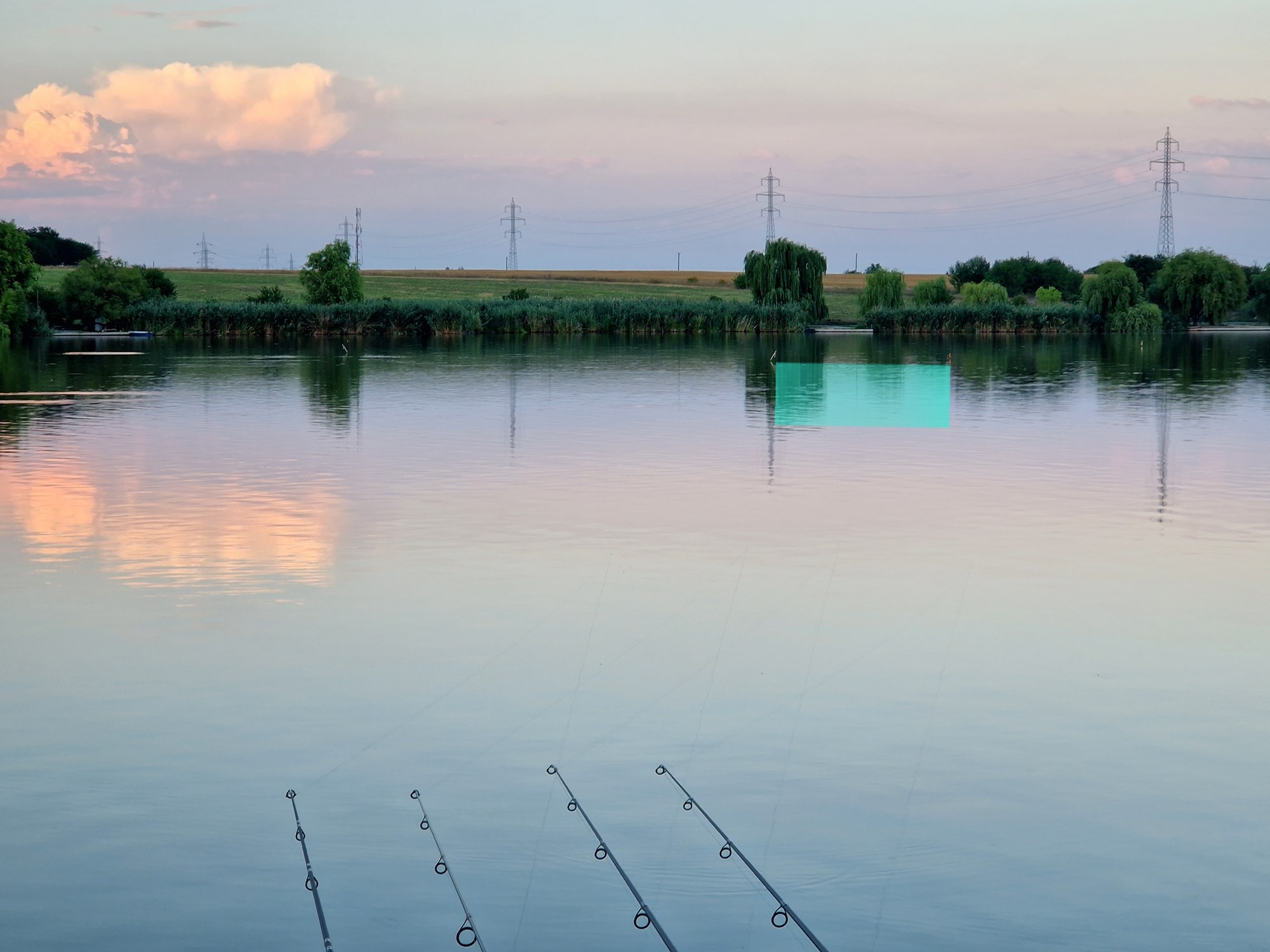 Tancabesti 5 august 2022 - 20220807201139.jpg